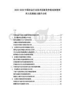 2025-2030中國冶金行業技術創新競爭格局深度研究與發展能力提升分析