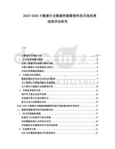 2025-2030大數據行業數據挖掘數智科技市場前景成效評估研究