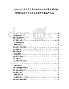 2025-2030銳意進取實干創(chuàng)新加快高質量發(fā)展以高質量的發(fā)展為核心用高質量的發(fā)展贏得先機