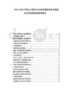 2025-2030中國云計算行業市場發展現狀技術趨勢及應用前景規劃管理報告