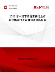 2025年中國下坡滑雪桿行業市場規模及投資前景預測分析報告