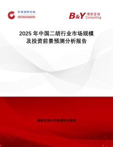 2025年中國二胡行業(yè)市場規(guī)模及投資前景預(yù)測分析報(bào)告