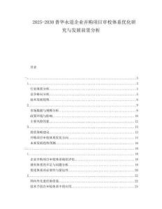 2025-2030普華永道企業并購項目審校體系優化研究與發展前景分析