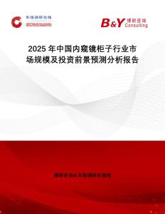2025年中國內窺鏡柜子行業市場規模及投資前景預測分析報告