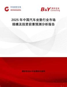 2025年中國汽車坐墊行業市場規模及投資前景預測分析報告