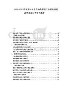 2025-2030歐洲塑料工業市場供需現狀分析及投資運營規劃分析研究報告