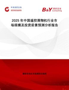 2025年中國遙控滑翔機行業市場規模及投資前景預測分析報告