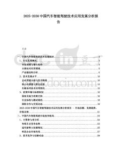 2025-2030中國(guó)汽車智能駕駛技術(shù)應(yīng)用發(fā)展分析報(bào)告