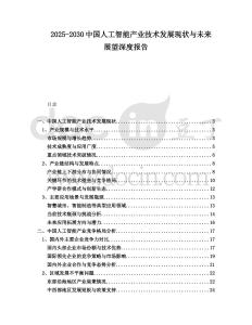 2025-2030中國人工智能產(chǎn)業(yè)技術(shù)發(fā)展現(xiàn)狀與未來展望深度報告