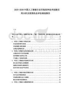 2025-2030中國人工智能行業(yè)市場競爭技術(shù)創(chuàng)新應(yīng)用分析及投資機會評估規(guī)劃報告