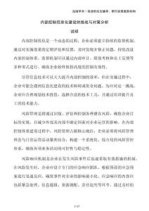 內部控制信息化建設的挑戰與對策分析