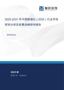 2025-2031年中國能譜儀（EDS）行業市場研究分析及前景戰略研判報告