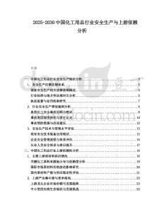 2025-2030中國化工用品行業(yè)安全生產(chǎn)與上游依賴分析