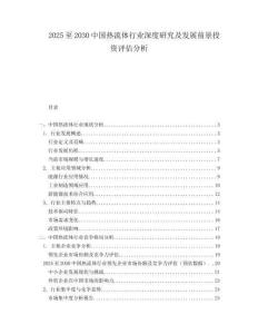 2025至2030中國(guó)熱流體行業(yè)深度研究及發(fā)展前景投資評(píng)估分析