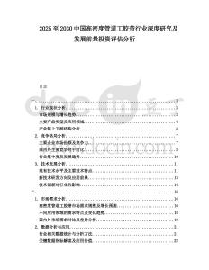 2025至2030中國高密度管道工膠帶行業深度研究及發展前景投資評估分析