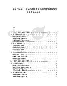 2025至2030中國MVR壓縮器行業(yè)深度研究及發(fā)展前景投資評估分析