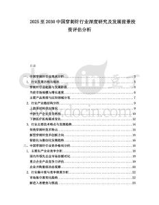2025至2030中國穿刺針行業深度研究及發展前景投資評估分析