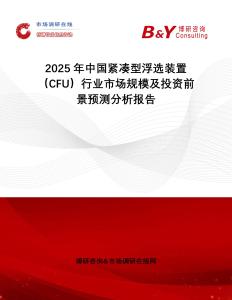 2025年中國緊湊型浮選裝置（CFU）行業市場規模及投資前景預測分析報告