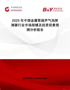 2025年中國金屬管超聲氣泡探測器行業市場規模及投資前景預測分析報告