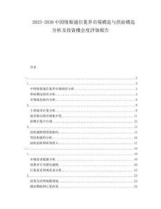 2025-2030中國情報通信業界市場構造與供給構造分析及投資機會度評価報告
