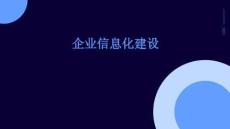 企業信息化建設
