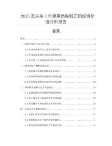 2025及未來5年艷黑色釉料項目投資價值分析報告