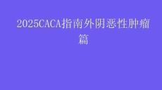 2025CACA指南外陰惡性腫瘤篇