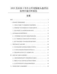 2025及未來5年撲火作戰智能頭盔項目投資價值分析報告