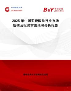 2025年中國亞硫酸鹽行業(yè)市場規(guī)模及投資前景預測分析報告
