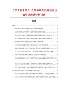 2025及未來5-10年除鐵劑項目投資價值市場數據分析報告