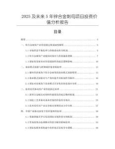 2025及未來5年鋅合金刺母項目投資價值分析報告