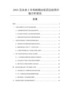 2025及未來5年有柄銅絲輪項目投資價值分析報告