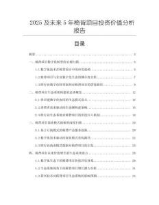2025及未來5年椅背項(xiàng)目投資價(jià)值分析報(bào)告