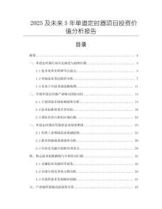 2025及未來5年單道定時器項目投資價值分析報告