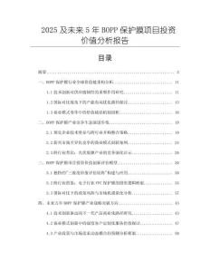 2025及未來5年BOPP保護膜項目投資價值分析報告