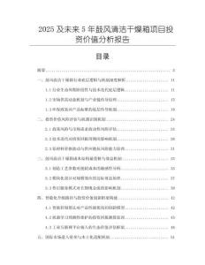 2025及未來5年鼓風(fēng)清潔干燥箱項(xiàng)目投資價(jià)值分析報(bào)告