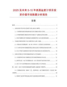 2025及未來5-10年表面鹽度計項目投資價值市場數據分析報告