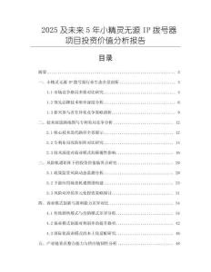 2025及未來5年小精靈無源IP撥號器項目投資價值分析報告