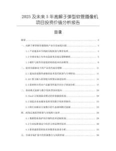 2025及未來5年高解子彈型軟管攝像機項目投資價值分析報告
