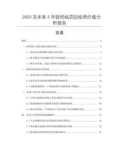 2025及未來5年硅鈣線項(xiàng)目投資價(jià)值分析報(bào)告