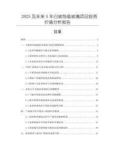 2025及未來5年白玻熱彎玻璃項(xiàng)目投資價(jià)值分析報(bào)告
