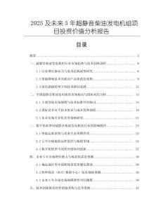 2025及未來5年超靜音柴油發(fā)電機(jī)組項(xiàng)目投資價(jià)值分析報(bào)告