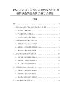 2025及未來5年神經元突觸及神經纖維結構模型項目投資價值分析報告