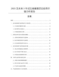 2025及未來5年試壓堵塞器項(xiàng)目投資價值分析報告