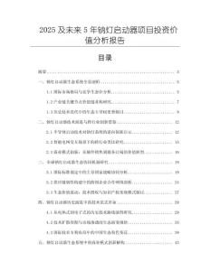 2025及未來(lái)5年鈉燈啟動(dòng)器項(xiàng)目投資價(jià)值分析報(bào)告