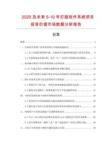 2025及未來(lái)5-10年打版軟件系統(tǒng)項(xiàng)目投資價(jià)值市場(chǎng)數(shù)據(jù)分析報(bào)告