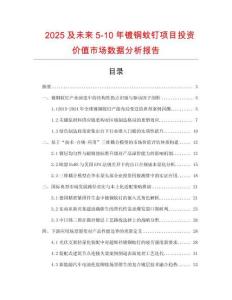 2025及未來(lái)5-10年鍍銅蚊釘項(xiàng)目投資價(jià)值市場(chǎng)數(shù)據(jù)分析報(bào)告