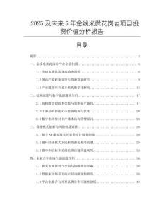 2025及未來5年金線米黃花崗巖項目投資價值分析報告