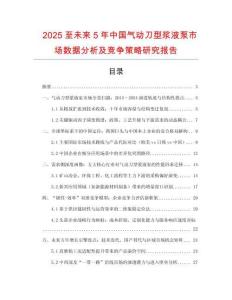 2025至未來5年中國氣動刀型漿液泵市場數據分析及競爭策略研究報告