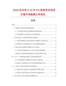 2025及未來5-10年P(guān)U拖把項目投資價值市場數(shù)據(jù)分析報告